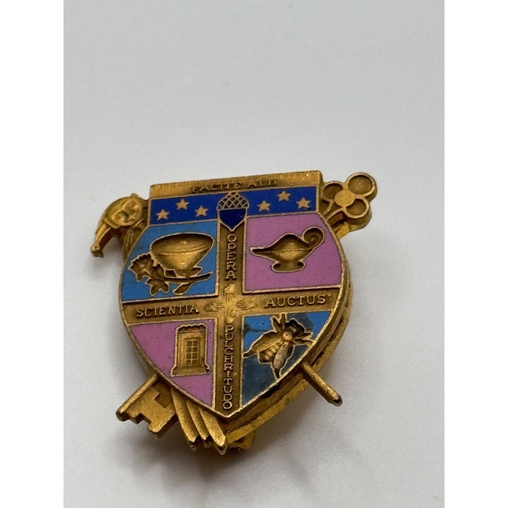 Vintage Fraternity School Opera Scientia Auctus Pulchrituoo Enamel Brooch Pin - Picture 3 of 8